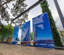 Lade das Bild in den Galerie-Viewer, Knumox Arto